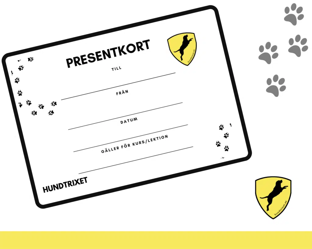 Presentkort